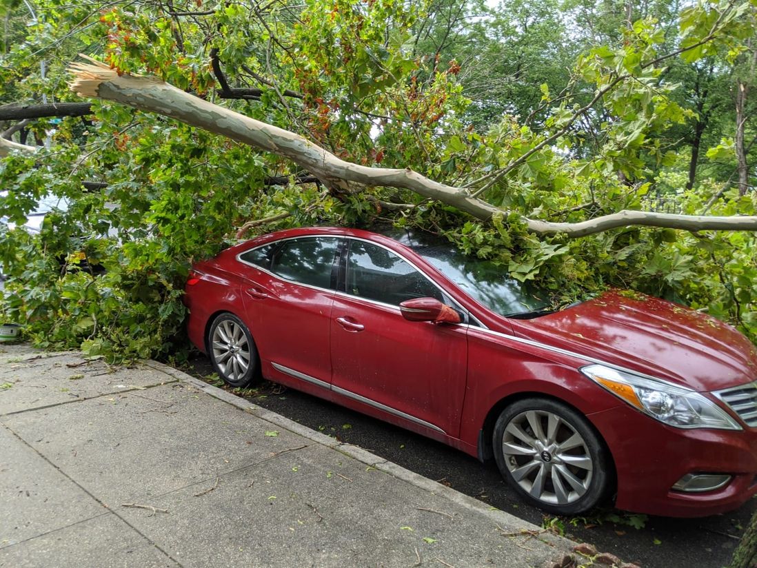 A tree rests on top of a car in Astoria